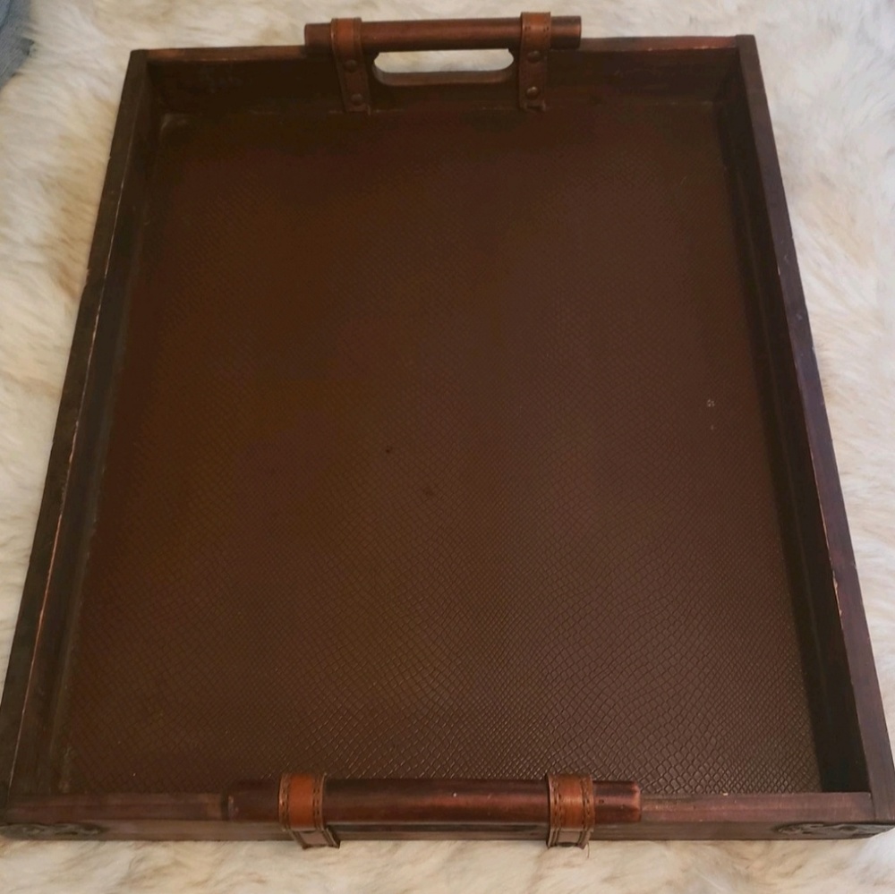 Faux Snake & Leather Wooden Tray